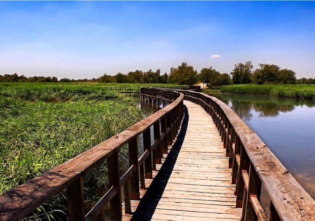  Passerella a Las Tablas de Daimiel 